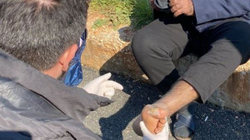 Një burrë shtiret si mjek dhe mashtron të prekurit nga tërmeti në Turqi