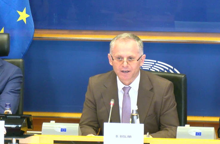Bislimi para eurodeputetëve: Asociacioni si institucion joqeveritar, jo qeverisje ekzekutive
