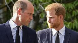 Skandal në shtëpinë mbretërore, Princ Harry thotë se Williami e sulmoi fizikisht