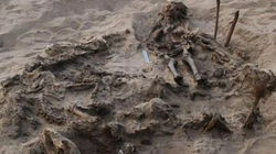 Egjipt, zbulohet varri i një fëmije tetë vjeç i varrosur së bashku me 142 qen