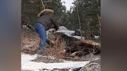 Çifti kanadez shpëtoi drerin e lidhur në telin e hekurt