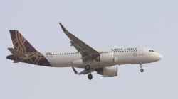 Italiania grushton dhe pështyn punonjësit në aeroplan, stafi e lidh për karrige