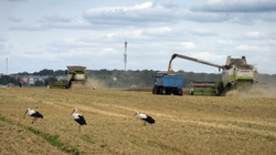 Arrihet marrëveshja për përshpejtimin e eksportit të grurit përmes Ukrainës, Polonisë dhe Lituanisë