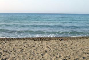 Velipoje