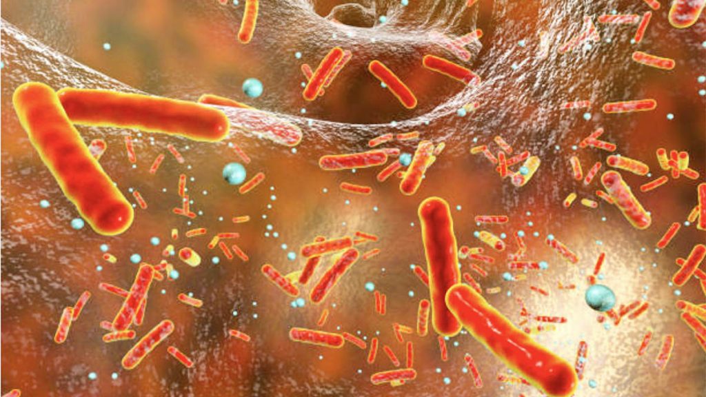 Arsyet pse nuk duhet të merrni kurrë antibiotikë pa recetë