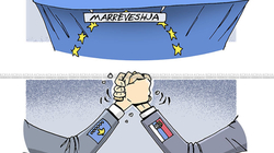 Karikatura e ditës