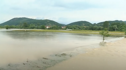 Përmbytjet në Prishtinë bllokojnë rrugë e dëmtojnë kultura bujqësore