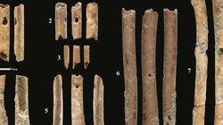 Flaute prej eshtrash rikthejnë tingujt e para 12 mijë vjetëve