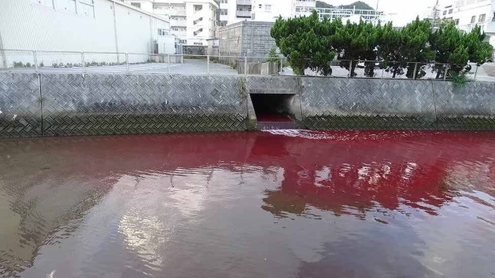 Lumi japonez bëhet i kuq si gjaku, banorët alarmohen