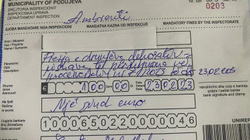 Në Podujevë gjobiten prerësit e drurëve dekorativë dhe ndotësit e mjedisit