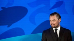 DiCaprio i gëzohet vendimit të qeverisë shqiptare për Lumin Vjosa, “historia u shkrua”