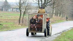 Çudia në Ballkan, burri me traktor me dy pasagjere në rimorkion për kafshë