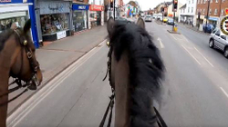 Policët britanikë ndjekin me kuaj burrin që po përdorte telefonin duke vozitur