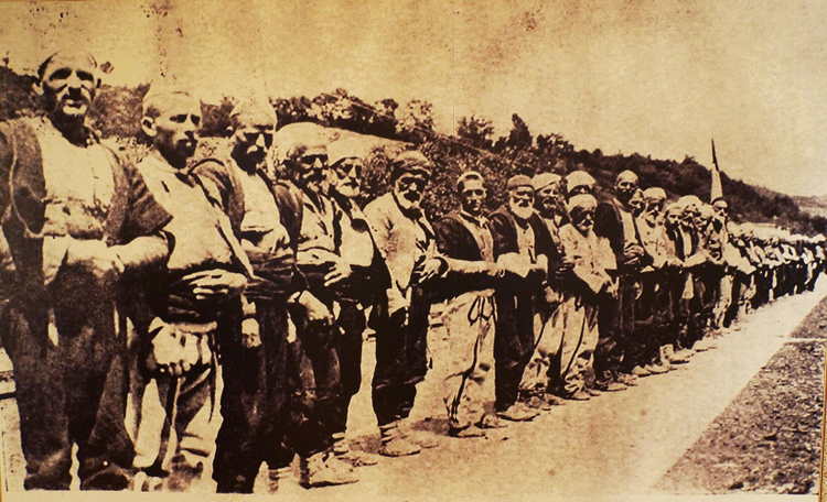 Shqiptarët në pritje të Sulltan Mehmetit V