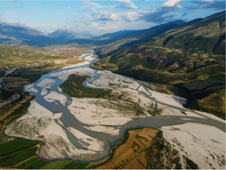 Lumi Vjosa pranë Qesaratit, jugu i Shqipërisë. Lumi dhe tre degët e tij kryesore në vend janë shpallur park kombëtar (Foto: Nick St, Oegger/The Guardian)