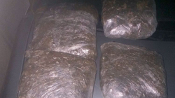 Arrestohet edhe i dyshuari i tretë në rastin ku u konfiskuan mbi 4 kg marihuanë