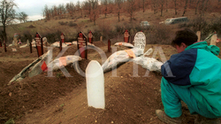 Izbica që nga “zona e sigurt” u kthye në zonën e një prej masakrave më të mëdha në Kosovë