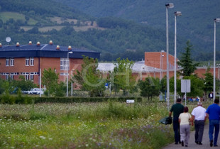 Burgu