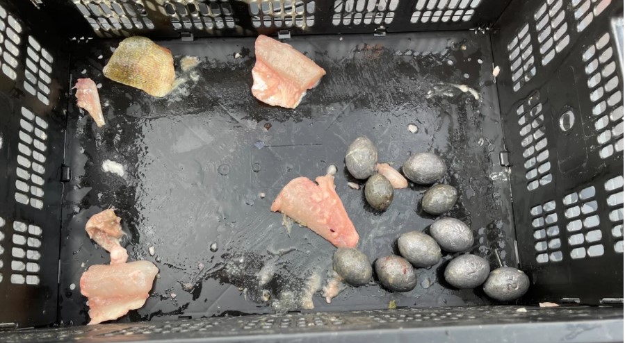 Dënohen me burgim dy peshkatarë, akuzohen se mashtruan në garë peshkimi