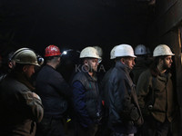 minatorët e Trepçës