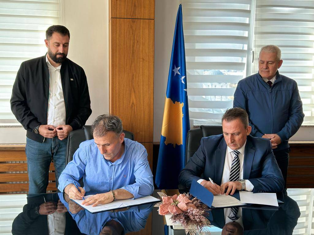 Leposaviqi releases space in the municipal building for vehicle ...