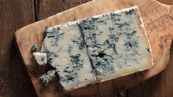 Të mirat e djathit të mykur gorgonzola i quajtur ndryshe “djathi i kaltër”