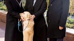 The Moldovan president's dog bites the Austrian president"