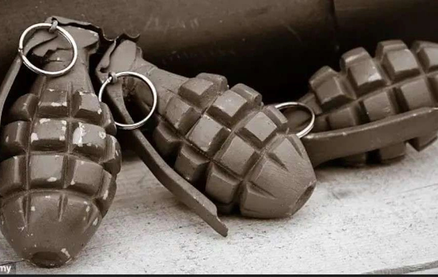 Foto ilustrim - Granatë dore