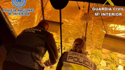 Eight Albanians are arrested in Spain, 480 kg of drugs are seized