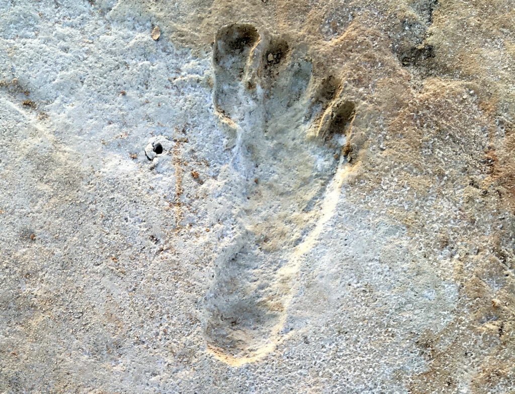 Gjurmët në New Mexico, shenja më e vjetër e pranisë së njerëzve në Amerikë