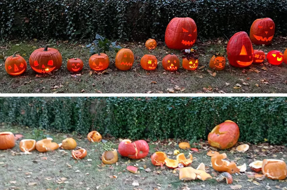 Prifti çek i bën copë-copë kungujt që fëmijët i gdhendën për Halloween