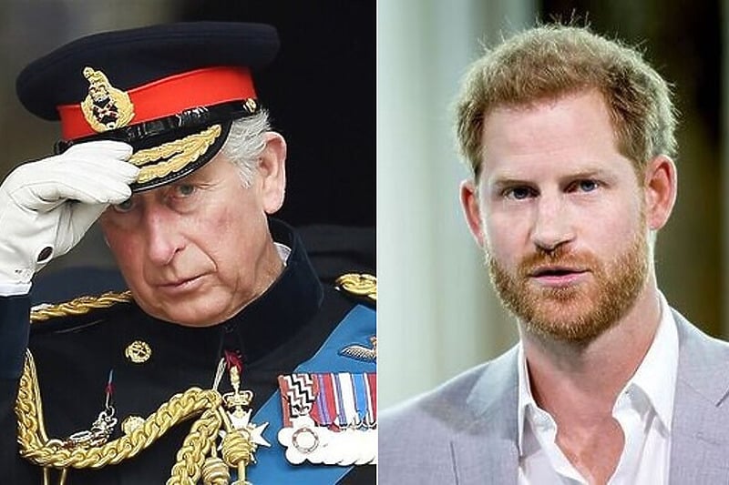 Mbreti Charles u zhgënjye kur lindi Harry, donte një vajzë