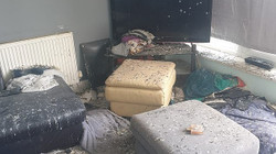 U la aksidentalisht hapur dera, pëllumbat shkaktojnë dëme rreth 15 mijë funte brenda banesës në Londër”