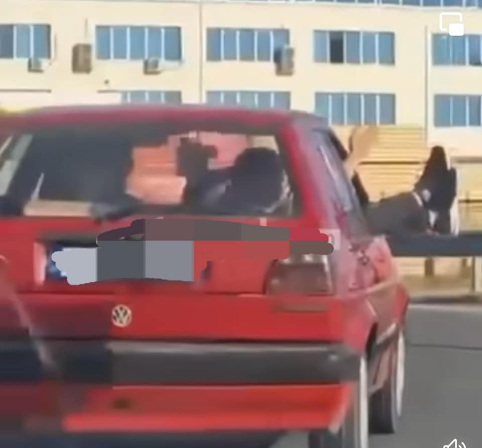 ​Gjobitet me 60 euro burri që ekspozoi këmbët në dritaren e veturës në lëvizje