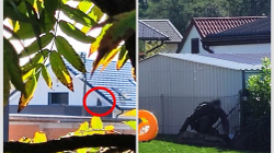 Në Slloveni, një person po gjuan policinë nga ballkoni