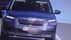 Radari i policisë sllovake kap një pamje të pazakontë, qenin pas timonit