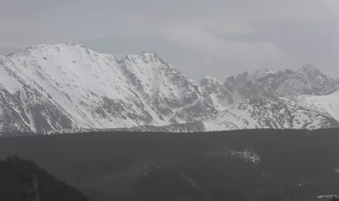 Pesë të vdekur si pasojë e erërave të forta në jug të Polonisë