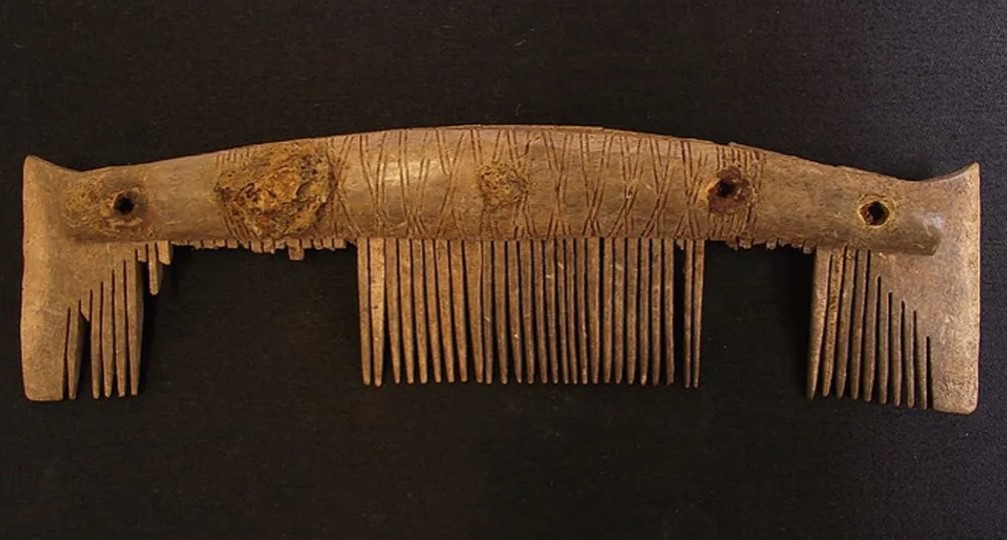 Krehrat e vikingëve