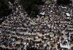 Lutjet e të premtes