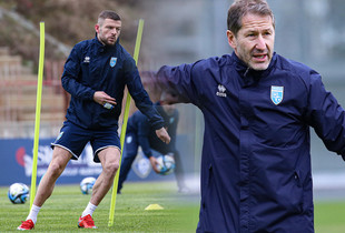Valon Berisha Franco Foda