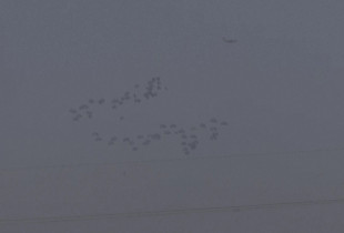 Rripi i Gazes-ndihma nga ajri