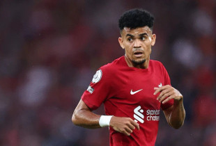 Luis Diaz