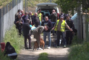 Kafshohet për vdekje fëmija nga dy pitbullë