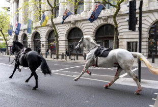 Kuajt ushtarakë në rrugë të Londrës