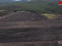 Djegia e hamulloreve