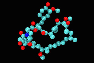 Rapamycin