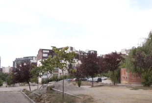 platoja