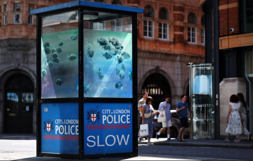 Peshqit e paraqitur në kutinë e policisë janë të ndryshëm në stil nga gjashtë dizajnët e mëparshëm me silueta që Banksy ka pretenduar se janë të tij në ditët e njëpasnjëshme gjatë javës së kaluar