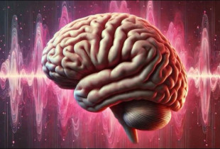 Zhurmat që ndikojnë në ADHD