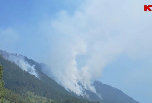 Zjarri ne Prevalle